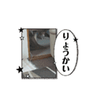 まいにちベル2（個別スタンプ：5）