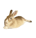 切り抜きいなりずし（個別スタンプ：2）