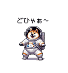 宇宙を旅するふとっちょ柴犬（個別スタンプ：2）