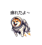 宇宙を旅するふとっちょ柴犬（個別スタンプ：6）