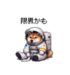 宇宙を旅するふとっちょ柴犬（個別スタンプ：9）