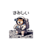 宇宙を旅するふとっちょ柴犬（個別スタンプ：22）