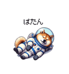 宇宙を旅するふとっちょ柴犬（個別スタンプ：24）