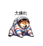 宇宙を旅するふとっちょ柴犬（個別スタンプ：37）