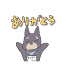 フリーランスエンジニワンズ（個別スタンプ：5）