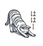 謝罪1(辞書を添えて)（個別スタンプ：16）