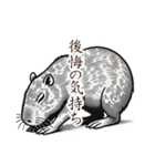 謝罪1(辞書を添えて)（個別スタンプ：19）