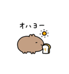 カピバラといろんな食べ物（個別スタンプ：1）