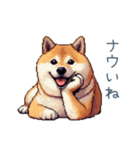 昭和死語を使う柴犬【日常・おもしろい】（個別スタンプ：29）