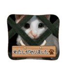 ネコちゃんのひとりごと（個別スタンプ：6）