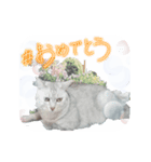 ネコちゃんのひとりごと（個別スタンプ：8）