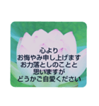 お悔やみの言葉⑩訃報.法事.法要シンプル蓮（個別スタンプ：18）