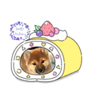 柴犬すずめちゃん1歳（個別スタンプ：6）