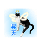 三ネコ姉妹・ひなてまリン（個別スタンプ：6）