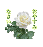 小さな薔薇園（個別スタンプ：2）