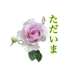 小さな薔薇園（個別スタンプ：4）