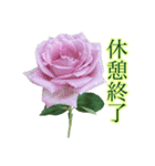 小さな薔薇園（個別スタンプ：10）