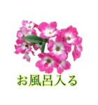 小さな薔薇園（個別スタンプ：17）