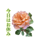 小さな薔薇園（個別スタンプ：21）