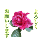 小さな薔薇園（個別スタンプ：30）