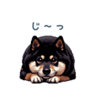 毎日使える黒柴犬2【かわいい・日常会話】（個別スタンプ：18）