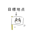 現在社会を生き抜くハイハチ猫（個別スタンプ：9）