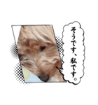 マンガのワンちゃん（個別スタンプ：2）