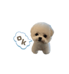 白モフくん ♡♡♡（個別スタンプ：1）