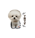 白モフくん ♡♡♡（個別スタンプ：2）