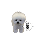 白モフくん ♡♡♡（個別スタンプ：4）