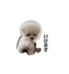 白モフくん ♡♡♡（個別スタンプ：10）