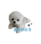 白モフくん ♡♡♡（個別スタンプ：18）