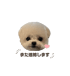 白モフくん ♡♡♡（個別スタンプ：22）