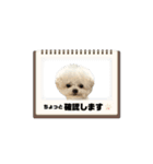 白モフくん ♡♡♡（個別スタンプ：26）