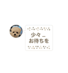 白モフくん ♡♡♡（個別スタンプ：31）