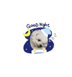 白モフくん ♡♡♡（個別スタンプ：37）