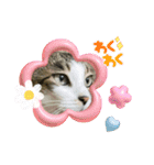 こむこむスタンプ(目瞑ってるの多め)（個別スタンプ：2）