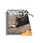 こむこむスタンプ(目瞑ってるの多め)（個別スタンプ：4）