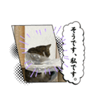 こむこむスタンプ(目瞑ってるの多め)（個別スタンプ：9）