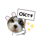 こむこむスタンプ(目瞑ってるの多め)（個別スタンプ：13）