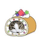 こむこむスタンプ(目瞑ってるの多め)（個別スタンプ：16）