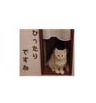 吾輩はイナリなり！！（個別スタンプ：5）