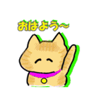 毎日使える猫スタンプだよ（個別スタンプ：1）