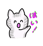 毎日使える猫スタンプだよ（個別スタンプ：5）
