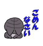 毎日使える猫スタンプだよ（個別スタンプ：8）