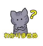 毎日使える猫スタンプだよ（個別スタンプ：10）