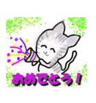 毎日使える猫スタンプだよ（個別スタンプ：13）