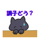 毎日使える猫スタンプだよ（個別スタンプ：19）