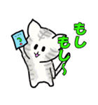 毎日使える猫スタンプだよ（個別スタンプ：22）