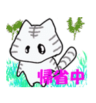 毎日使える猫スタンプだよ（個別スタンプ：26）